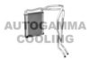 AUTOGAMMA 104403 Heat Exchanger, interior heating
